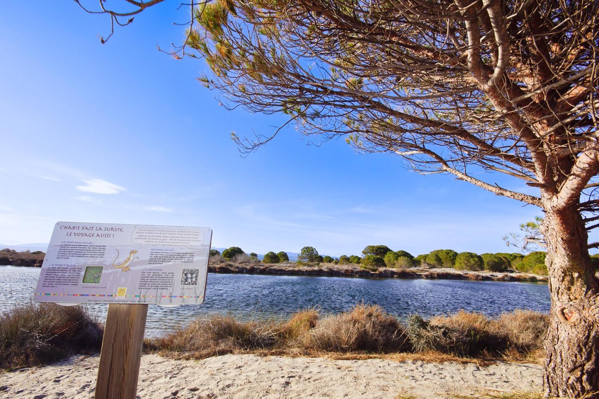 Marina, Ile Des Pecheurs - Acces Piscine Et Spa Le Barcarès Esterno foto